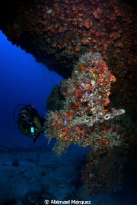 Jose at Captain Roger wreck by Abimael Márquez 